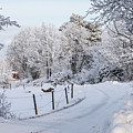 Gravelled road in winter